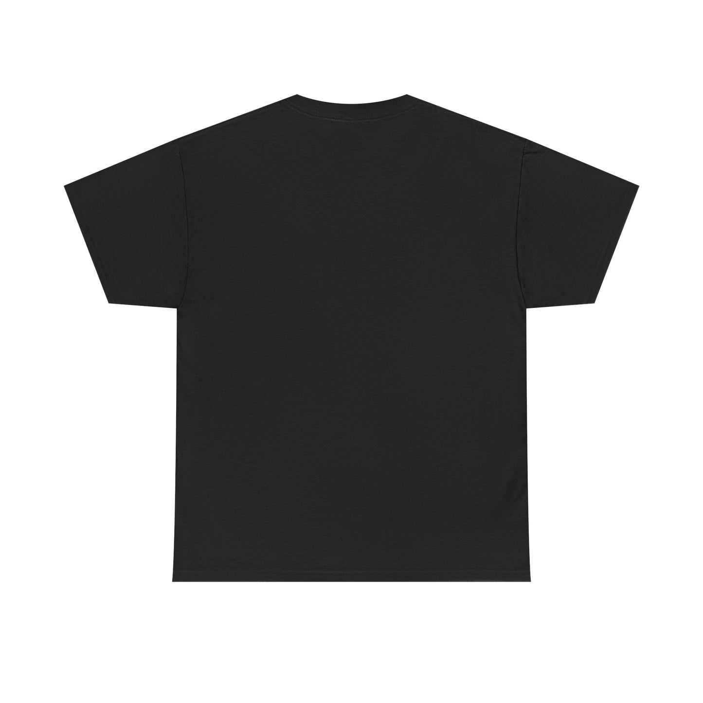 Funny Anti Surveillance Shirt | FLOCK YOU and the Horse You Rode In On | Anti Flock Camera ALPR Privacy Protest Tee, Unisex Soft