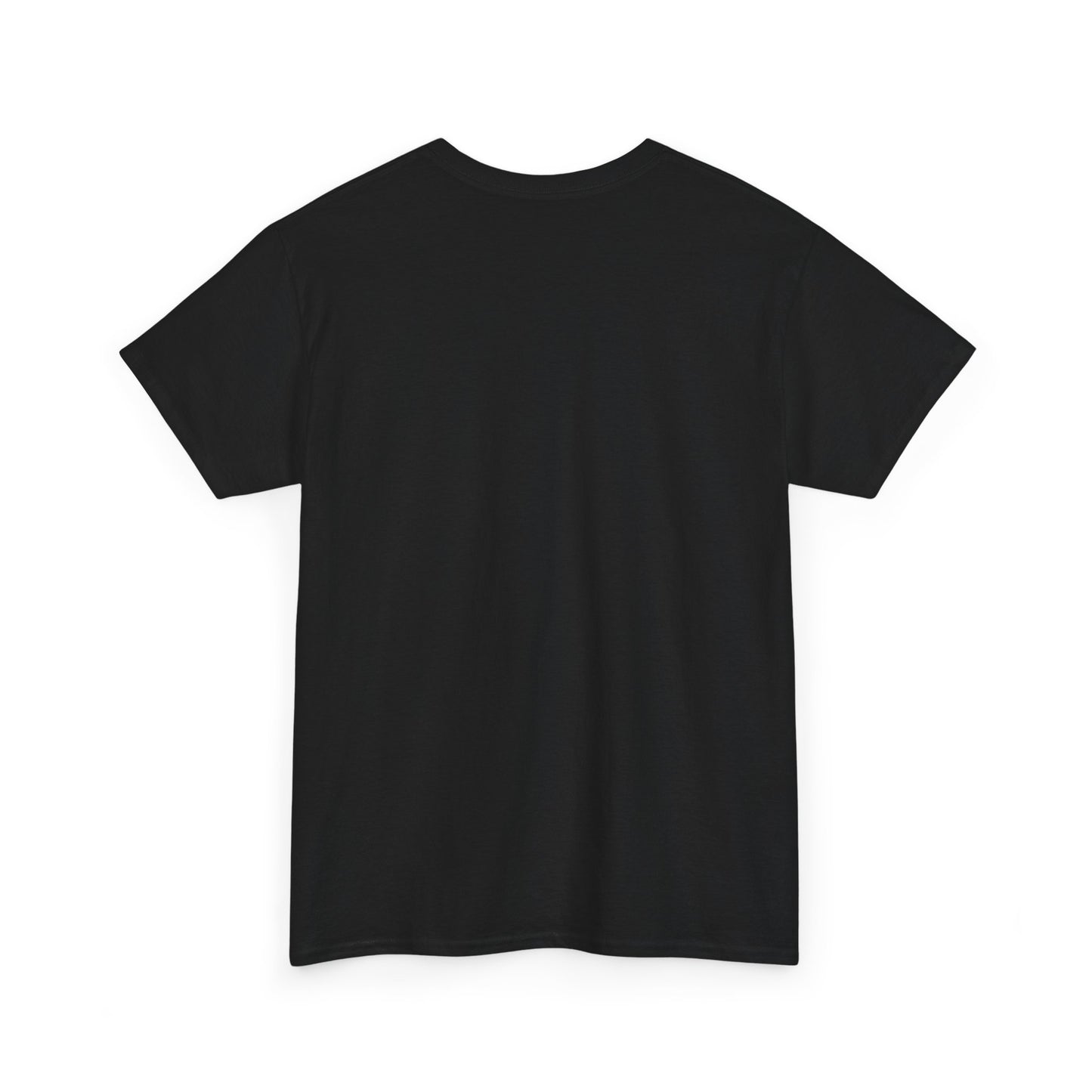 Funny Anti Surveillance Shirt | FLOCK YOU and the Horse You Rode In On | Anti Flock Camera ALPR Privacy Protest Tee, Unisex Soft