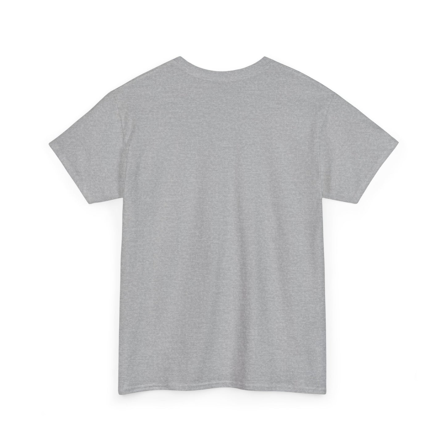 Funny Anti Surveillance Shirt | FLOCK YOU and the Horse You Rode In On | Anti Flock Camera ALPR Privacy Protest Tee, Unisex Soft