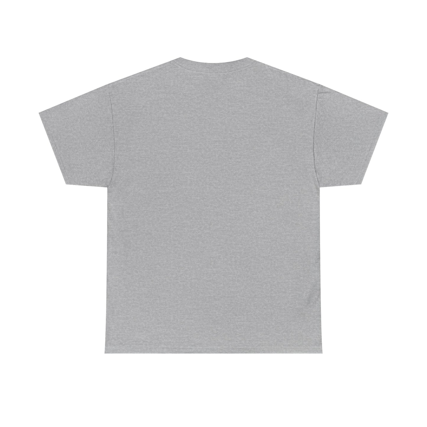 Funny Anti Surveillance Shirt | FLOCK YOU and the Horse You Rode In On | Anti Flock Camera ALPR Privacy Protest Tee, Unisex Soft