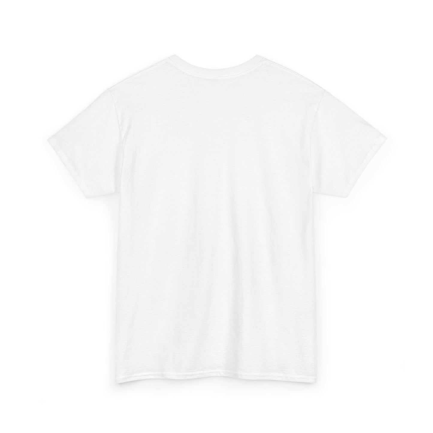 Funny Anti Surveillance Shirt | FLOCK YOU and the Horse You Rode In On | Anti Flock Camera ALPR Privacy Protest Tee, Unisex Soft