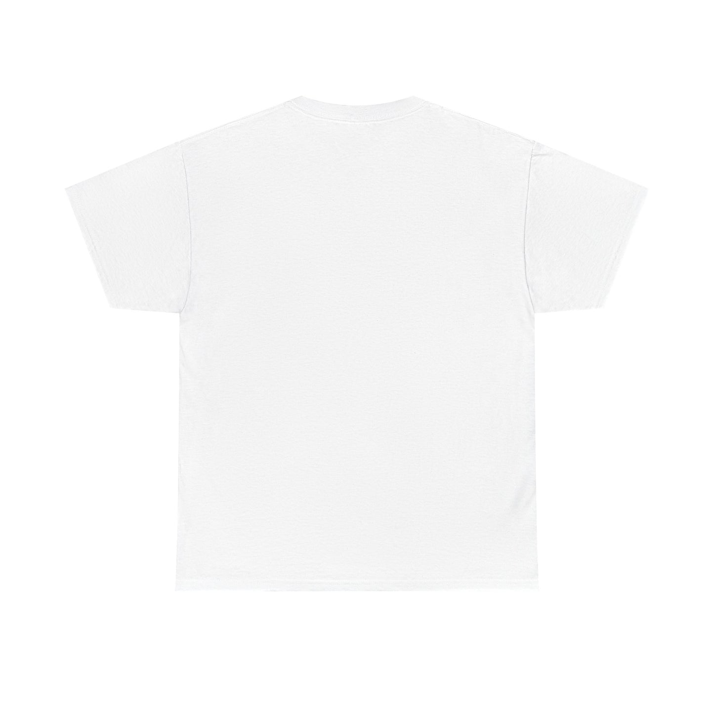 Funny Anti Surveillance Shirt | FLOCK YOU and the Horse You Rode In On | Anti Flock Camera ALPR Privacy Protest Tee, Unisex Soft